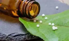 नवेगांव में होम्योपैथी और तामियां में आयुर्वेदिक चिकित्सा महाविद्यालय खोलने की मांग नवेगांव में होम्योपैथी और तामियां में आयुर्वेदिक चिकित्सा महाविद्यालय खोलने की मांग