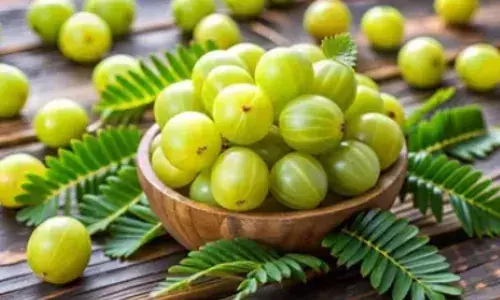 चमकदार स्किन और घने बाल चाहते हैं तो, आंवला खाना करें शुरू, सेहत के लिए भी है बेहद फायदेमंद