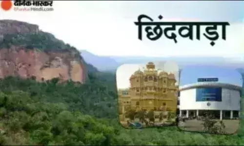 बाघ का अब भी बना हुआ है मूवमेंट, गश्ती करने पहुंची टीम, कन्हान रेंज में बाघ को लेकर बना हुआ दहशत का माहौल