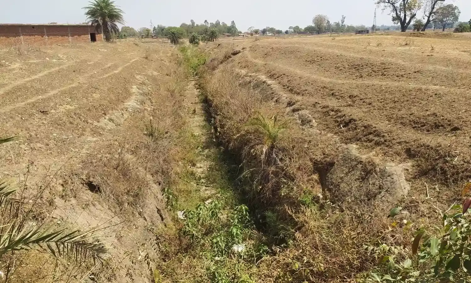 नहर है लेकिन पानी नहीं, रबी की फसल नहीं ले पा रहे किसान