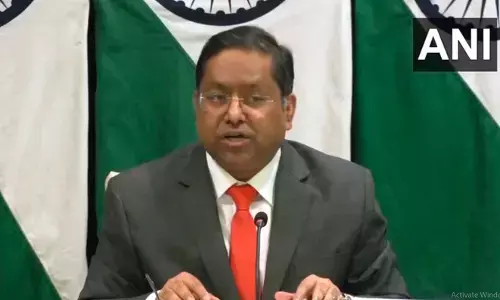 विदेश मंत्रालय ने जारी किया बयान, दोनों देशों के बीच इन दो तत्वों को बताया  फसाद की जड़े