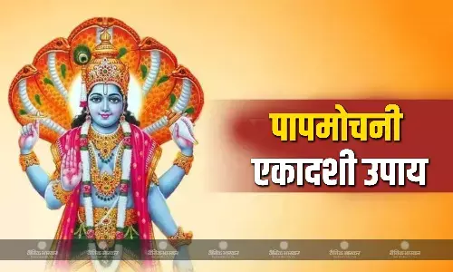 पापमोचनी एकादशी पर करें ये आसान उपाय, जीवन होगा सुखमय