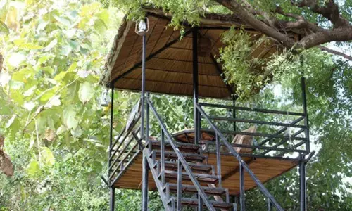 कृत्रिम और नैसर्गिक मचानों को अपडेट कर रहा वनविभाग कृत्रिम और नैसर्गिक मचानों को अपडेट कर रहा वनविभाग