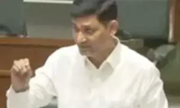 जमीन के नियम बदले: तहसीलदार विनिता लांजेवार पर निलंबन की लटकी तलवार!