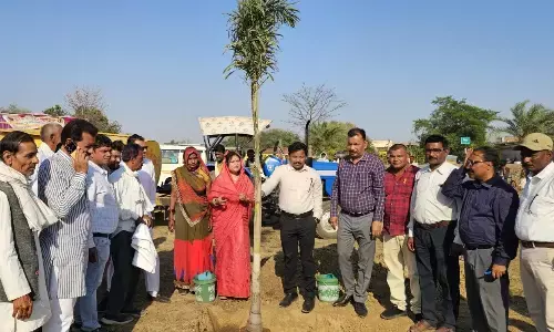 जिपं अध्यक्ष ने ग्राम बिलखुरा में लगाए पौधे, पर्यावरण संरक्षण का लिया संकल्प जिपं अध्यक्ष ने ग्राम बिलखुरा में लगाए पौधे, पर्यावरण संरक्षण का लिया संकल्प