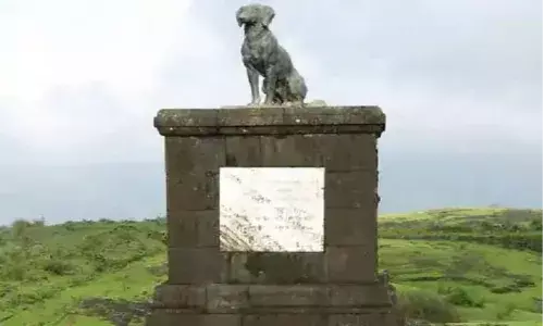 औरंगजेब की कब्र के बाद अब वाघ्या कुत्ते की समाधि की चर्चा गर्म औरंगजेब की कब्र के बाद अब वाघ्या कुत्ते की समाधि की चर्चा गर्म