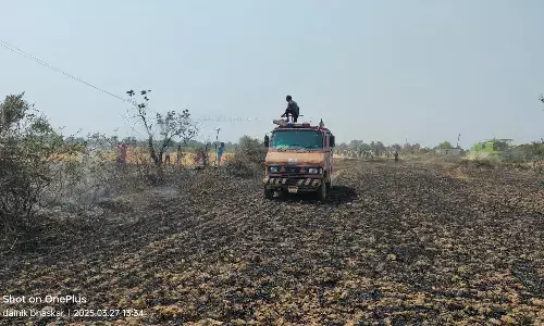 खेत में आग लगने से लाखों की फसल जलकर खाक खेत में आग लगने से लाखों की फसल जलकर खाक