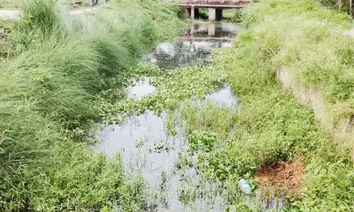 इधर सिंचाई के लिए तरस रहीं फसलें, उधर सड़कों पर बह रहा पानी