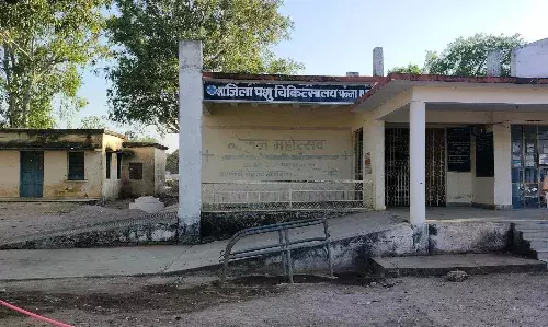पन्ना का पशु चिकित्सालय डॉक्टर विहीन, परेशान होते हैं पशुपालक