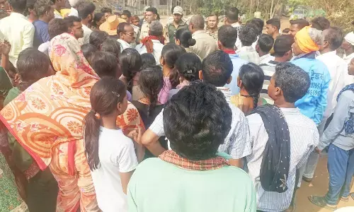 भंडारा में फसलों को पानी देने गए किसान को बाघ ने बनाया शिकार