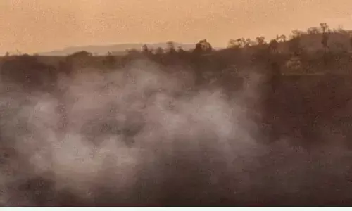 जंगलों की आग पर काबू पाने वन विभाग और मेलघाट टाइगर रिजर्व अलर्ट जंगलों की आग पर काबू पाने वन विभाग और मेलघाट टाइगर रिजर्व अलर्ट