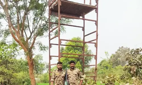 आदमखोर बाघ को पकड़ने के लिए 3 मचानों पर तैनात रहेंगे शार्प शूटर