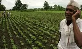 महाराष्ट्र के लगभग 42 हजार गांवों में मोबाइल कनेक्टिविटी उपलब्ध, 4 जी नेटवर्क की सुविधा महाराष्ट्र के लगभग 42 हजार गांवों में मोबाइल कनेक्टिविटी उपलब्ध, 4 जी नेटवर्क की सुविधा