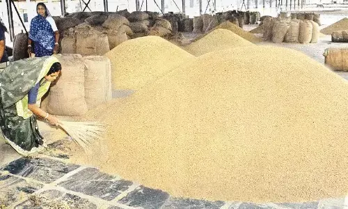 जिस वेयर हाउस में रखा 2 हजार क्विंटल घुना गेहूं उसे ही बना दिया केन्द्र