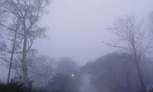 बेमौसम बारिश से अमरावती में चौपट हो गई आम की फसल, किसान निराश बेमौसम बारिश से अमरावती में चौपट हो गई आम की फसल, किसान निराश