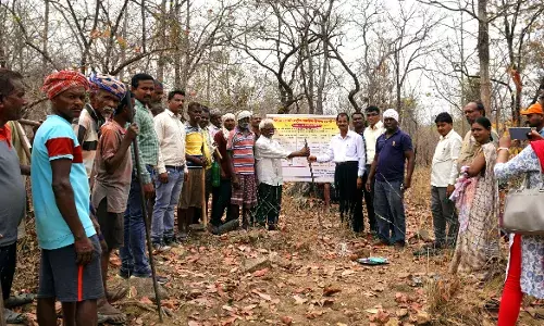 अब बांस देगा गड़चिरोली के ग्रामीणों को रोजगार, चलाए जा रहे विभिन्न उपक्रम