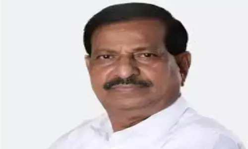 नवी मुंबई के ऐरोली में बनेगा मैंग्रोव पार्क, अध्ययन रिपोर्ट तैयार करने दिए निर्देश