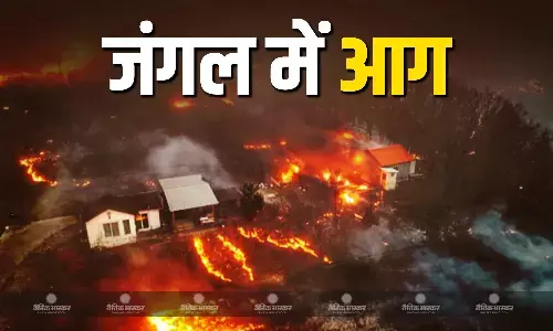 कोरिया के जंगल में लगी आग को बुझाने में जुटे हेलीकॉप्टर में लगी आग ,पायलट की मौत