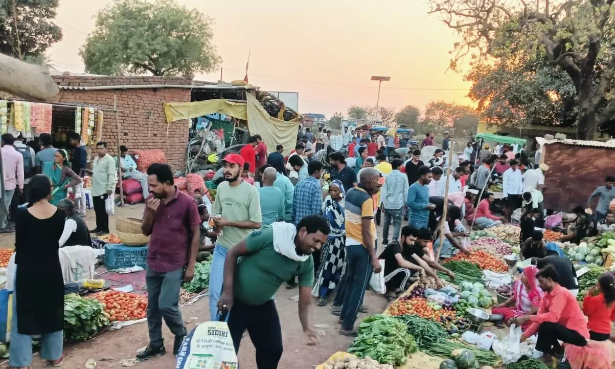 जेके सीमेण्ट कंपनी ने स्थानीय किसानों के लिए किया साप्ताहिक बाजार का विकास जेके सीमेण्ट कंपनी ने स्थानीय किसानों के लिए किया साप्ताहिक बाजार का विकास