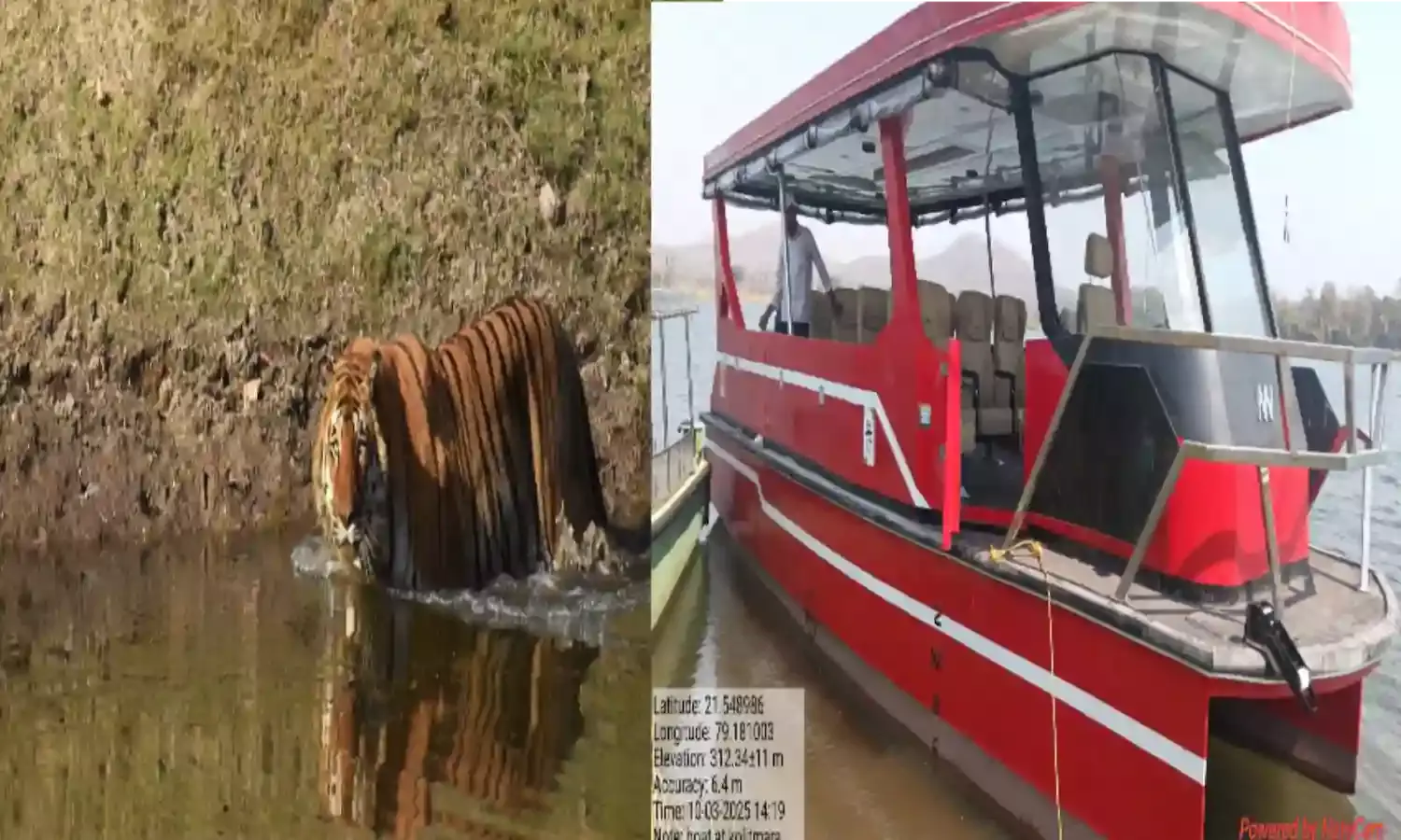 पहली सोलर बोट से पेंच नदी में रोमांच भरी होगी जंगल सफारी, बस हरी झंडी का है इंतजार