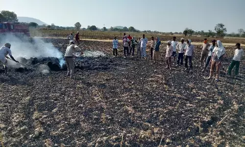 खेत-खलिहान में लगी आग फसल जलकर खाक, तहसील अजयगढ अंतर्गत हरदी हलका की घटना