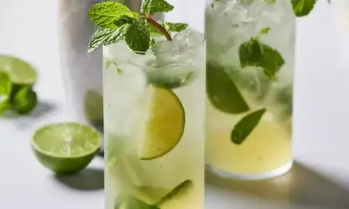 भरी गर्मी में फील करना चाहते हैंं फ्रेश, तो वर्जिन मोइतो की इस रेसिपी को करें फॉलो, मन रहेगा कूल-कूल!