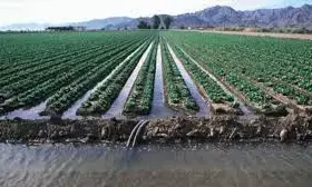 अब नहरों से खेतों तक पानी पहुंचाने के लिए पाइप का होगा प्रयोग अब नहरों से खेतों तक पानी पहुंचाने के लिए पाइप का होगा प्रयोग