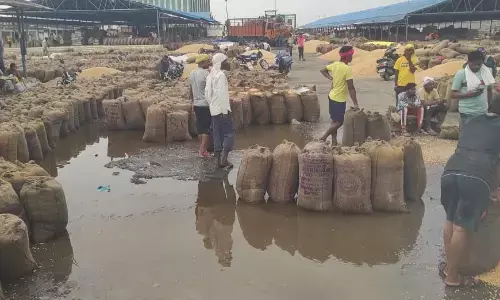 छिंदवाड़ा में झमाझम हुई बारिश, ओले भी बरसे, हजारों क्विंटल गेहूं भीगा छिंदवाड़ा में झमाझम हुई बारिश, ओले भी बरसे, हजारों क्विंटल गेहूं भीगा