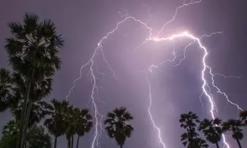 बिहार में तेज आंधी-बारिश और वज्रपात ने बरपाया कहर, 30 लोगों की मौत, नालंदा सबसे ज्यादा प्रभावित बिहार में तेज आंधी-बारिश और वज्रपात ने बरपाया कहर, 30 लोगों की मौत, नालंदा सबसे ज्यादा प्रभावित