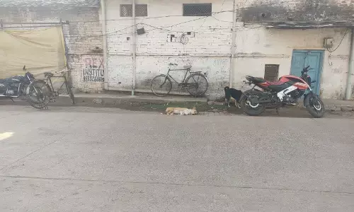 पन्ना में पागल कुत्ते का आतंक, इंद्रपुरी कालोनी में दहशत आधा दर्जन घायल पन्ना में पागल कुत्ते का आतंक, इंद्रपुरी कालोनी में दहशत आधा दर्जन घायल