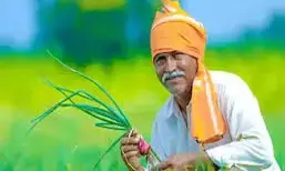 भंडारा जिले में किसान दुर्घटना बीमा के 173 प्रस्ताव किए गए मंजूर