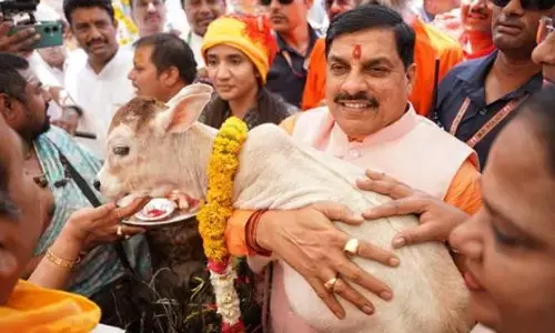 गौ-शालाओं से मध्यप्रदेश में गौ-सेवा की लिखेंगे नई इबारत - मुख्यमंत्री डॉ. यादव
