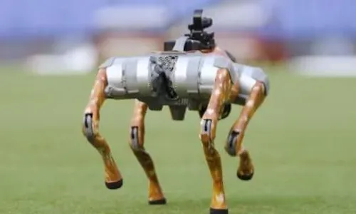 आईपीएल में हुई नए सदस्य की एंट्री, अब इस नए उपकरण से होगा टूर्नामेंट का प्रसारण आईपीएल में हुई नए सदस्य की एंट्री, अब इस नए उपकरण से होगा टूर्नामेंट का प्रसारण