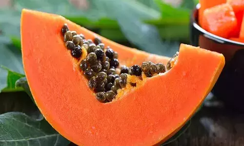 अपने आपको रखना है हेल्दी, तो गर्मियों में खाएं पपीता, जानें इससे मिलने वाले फायदे अपने आपको रखना है हेल्दी, तो गर्मियों में खाएं पपीता, जानें इससे मिलने वाले फायदे