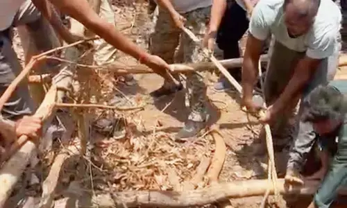 छह दिन से भंडारा के जंगल के कुएं में टहनी पर लटका रहा युवक