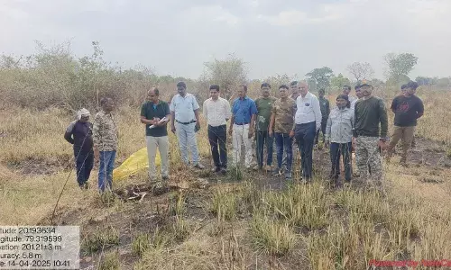 चंद्रपुर के इरई बांध परिसर में टीम को गश्त के दौरान मिला बाघ का शव