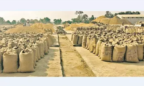 धान में धोखा खाए लेकिन गेहूं में नहीं चलने देंगे फर्जीवाड़ा, गुणवत्ता सर्वेयर रखेंगे नजर