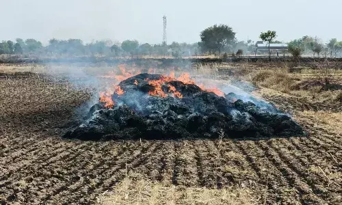अलग-अलग जगह खेत-खलिहान और नरवाई में लगी आग