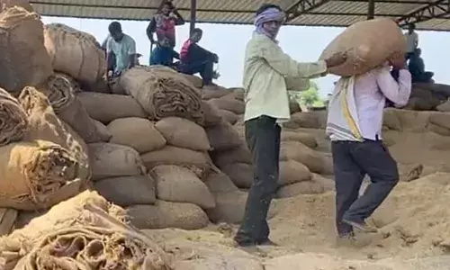 एसडीएम करेंगे गड़चिरोली के चामोर्शी में हुए धान बोनस घोटाले की जांच