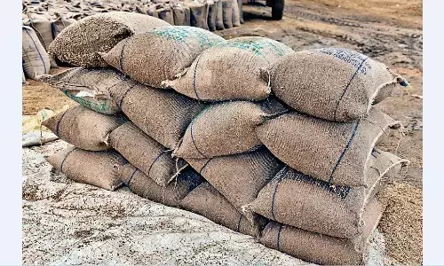 न आरोपी गिरफ्त में आए न मिलर्स पर कसा शिंकजा