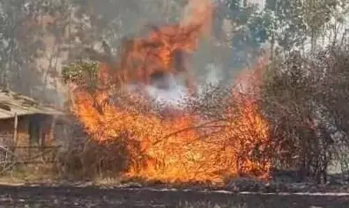 आग लगने से गृहस्थी और फसल समेत ट्रैक्टर-ट्रॉली खाक