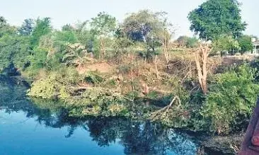 हर दिन काटे जा रहे दर्जनों पेड़, वन्य प्राणियों पर भी संकट, दो विभाग सीमा विवाद में उलझे हर दिन काटे जा रहे दर्जनों पेड़, वन्य प्राणियों पर भी संकट, दो विभाग सीमा विवाद में उलझे