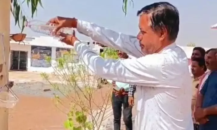 बोरी विद्यालय प्रबंधन ने पौधों में पक्षियों के लिए रखे सकोरे बोरी विद्यालय प्रबंधन ने पौधों में पक्षियों के लिए रखे सकोरे
