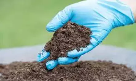 भंडारा की मिट्‌टी के 13 हजार नमूनों की होगी जांच , गांव-गांव चलेगा अभियान