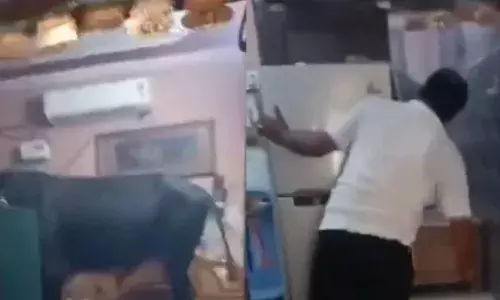 बेडरूम में घुस गए आवारा मवेशी सांड, डरी हुई महिला घुसी अलमारी में, 2 घंटे भगाने की कोशिश के बाद भी नहीं हुआ टस से मस