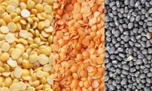 सरकार ने पीएसएस के तहत तुअर - उड़द और मसूर की दालों की खरीद को मंजूरी दी