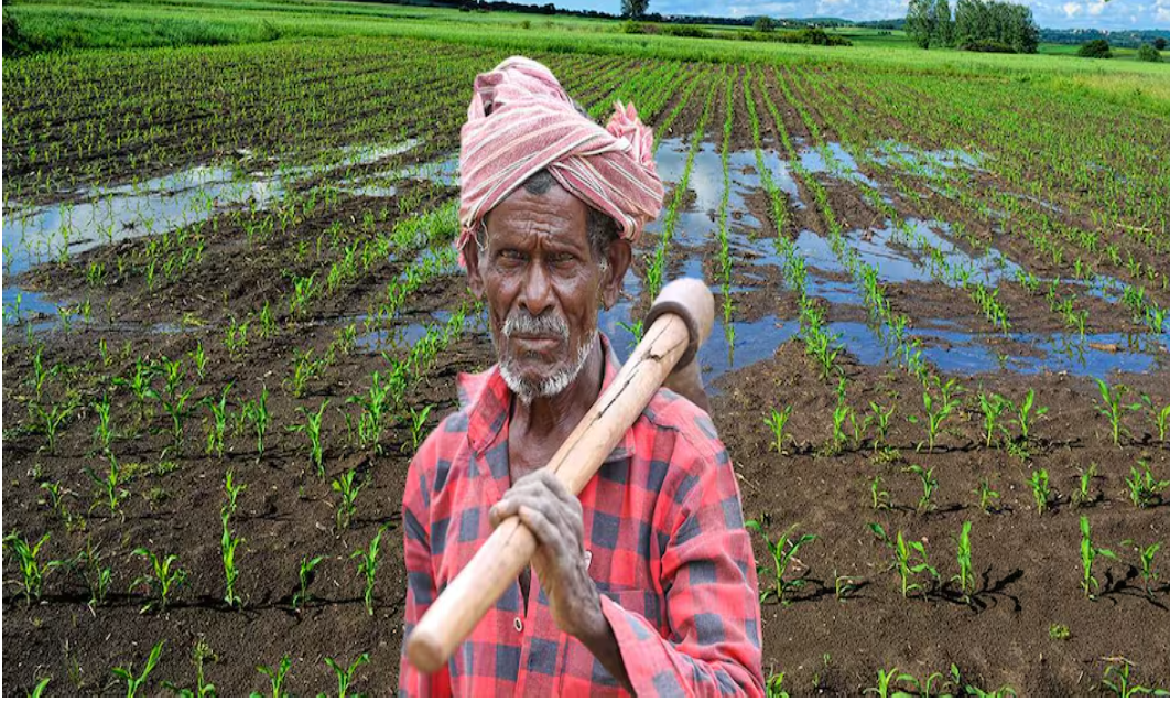 खरीफ फसल बीमा को मंजूरी, जल्द ही किसानों के खाते में जमा होंगे 11 करोड़!