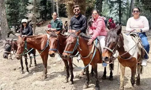 पहलगाम के आतंकी हमले के दौरान घाटी से उतर रहा था पांढुर्ना का मदान परिवार