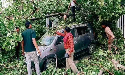 आंधी से कई जगह गिरे पेड़, दो कारें चपेट में आईं, मकान की दीवार और बालकनी टूटी, पाॅवर सप्लाई भी लड़खड़ाई आंधी से कई जगह गिरे पेड़, दो कारें चपेट में आईं, मकान की दीवार और बालकनी टूटी, पाॅवर सप्लाई भी लड़खड़ाई