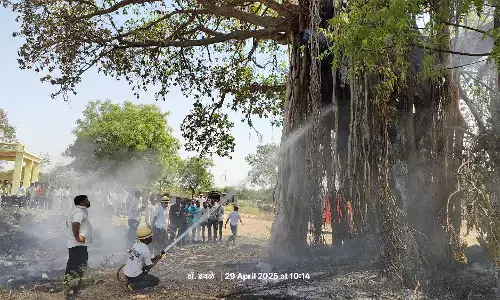 बीड़ के पास लिंबागणेश में 250 साल पुराना बरगद पेड़ को लगी आग